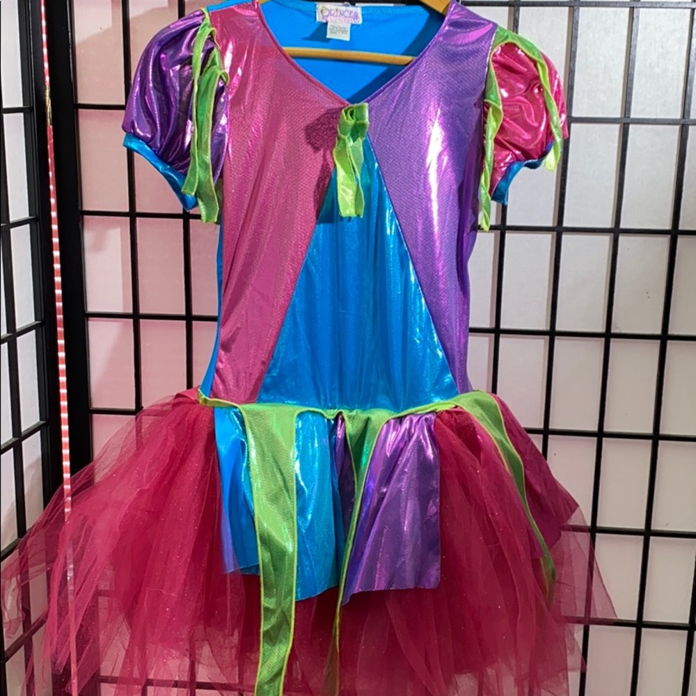 Princess Paradise Dress Size 10/12